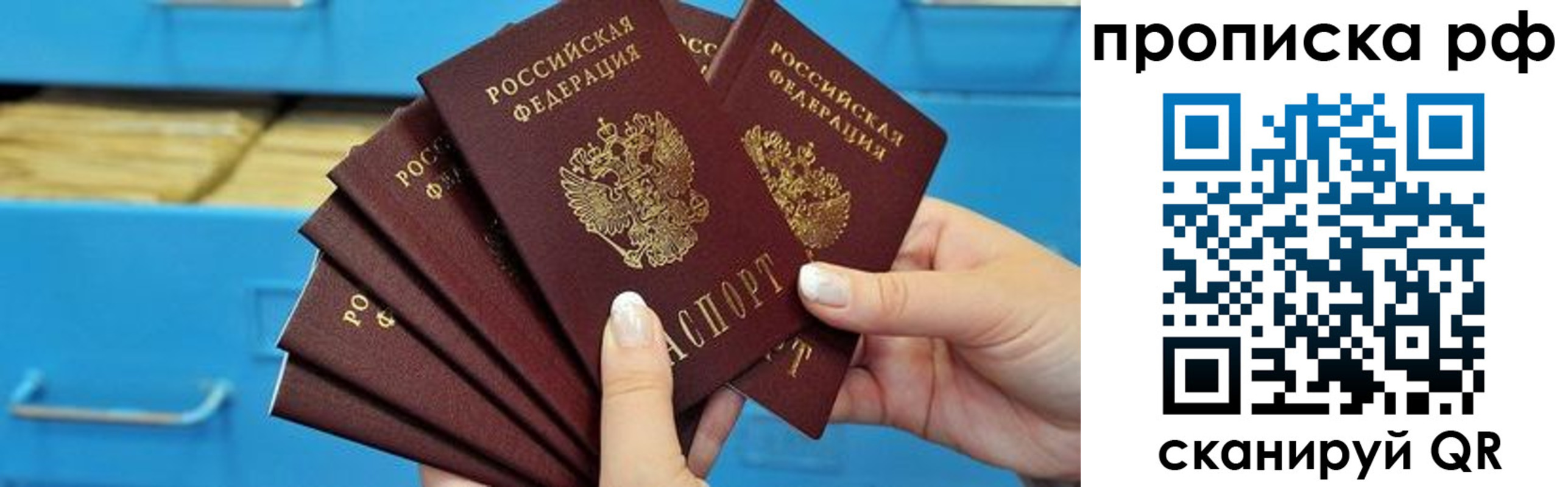 прописка поиск в Ярославле